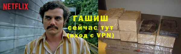 хмурый Алексин