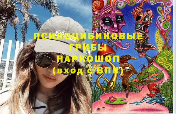 МДПВ Алексеевка